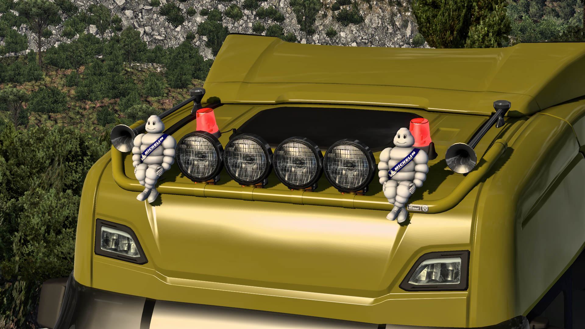 NG painted r_grill
