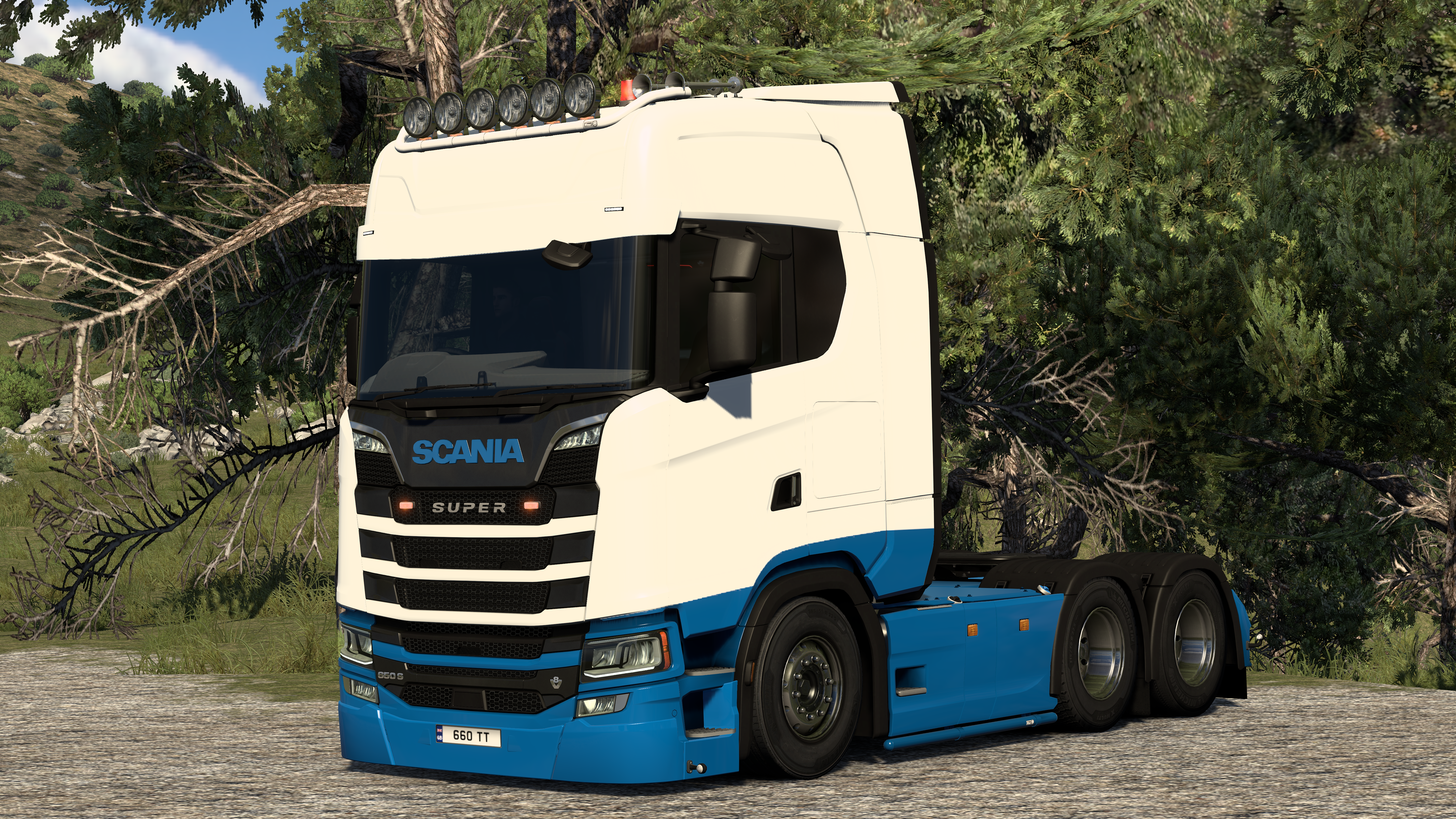 Scania S Series Trucker tim (CONCEPT)