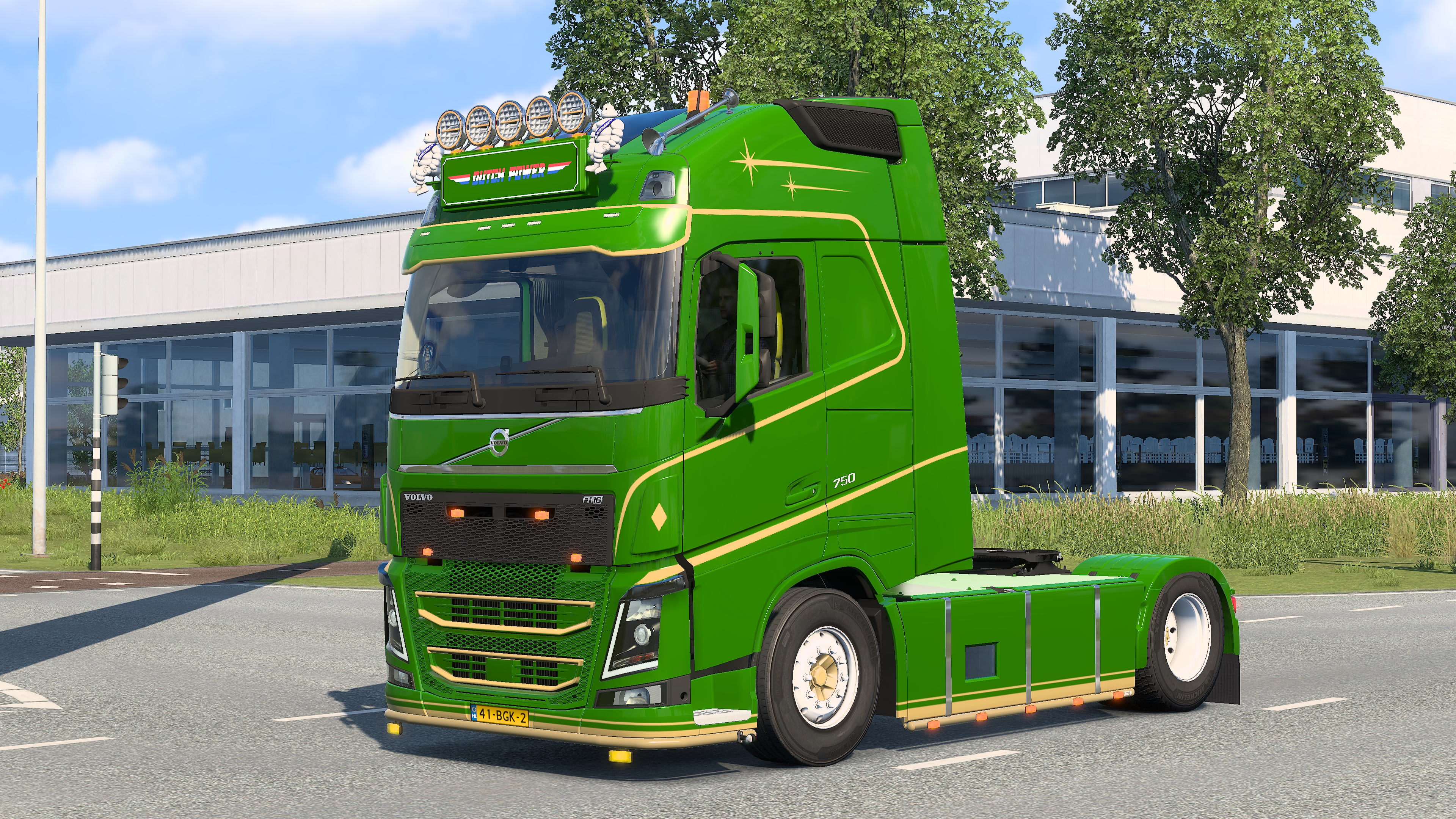 Volvo FH4 Flower Liner